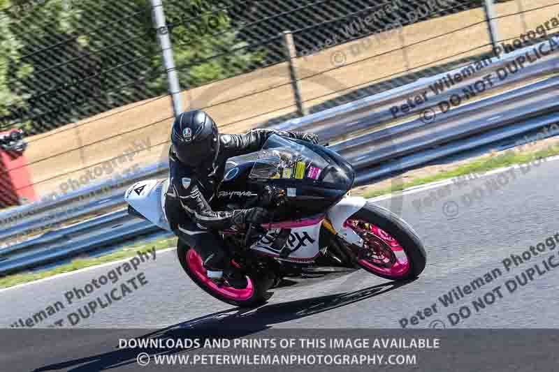 brands hatch photographs;brands no limits trackday;cadwell trackday photographs;enduro digital images;event digital images;eventdigitalimages;no limits trackdays;peter wileman photography;racing digital images;trackday digital images;trackday photos